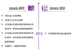 大吊男同擦擦网站非评估类项目发展历程